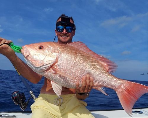 St Petersburg Florida Fishing Charters