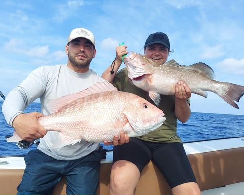Grouper Fishing Florida